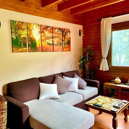 Apartamento Siscaro Apartment Vila Екстериор снимка